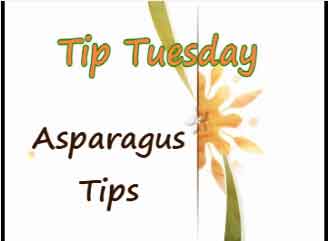Asparagus Tips – Kitchen Questions