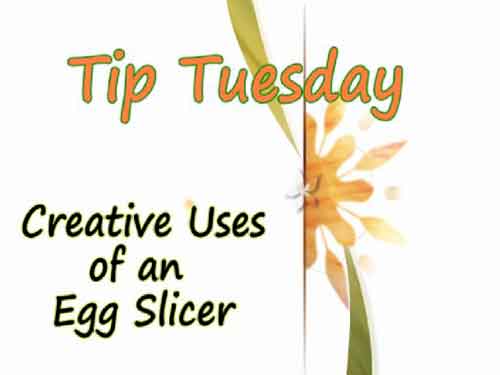 Creative Uses of an Egg Slicer - Tuesday Tip
